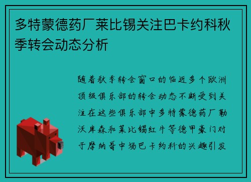 多特蒙德药厂莱比锡关注巴卡约科秋季转会动态分析