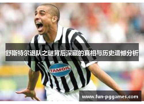 舒斯特尔退队之谜背后深藏的真相与历史遗憾分析