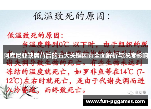 阿库尼亚缺席背后的五大关键因素全面解析与深度影响