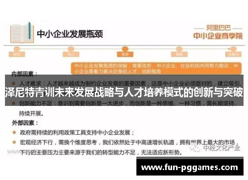 泽尼特青训未来发展战略与人才培养模式的创新与突破 泽尼特青训未来发展战略与人才培养模式的创新与突破