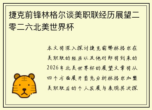 捷克前锋林格尔谈美职联经历展望二零二六北美世界杯