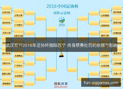武汉宏兴2016年足协杯围殴苏宁 终身禁赛处罚的依据与影响